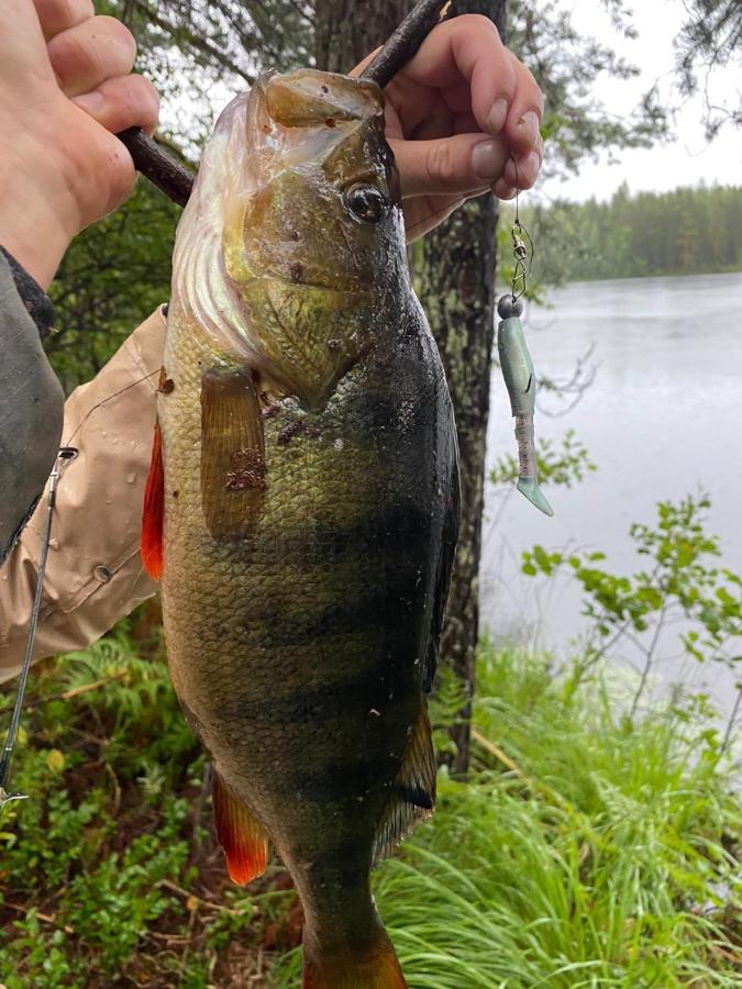 Willa Saimaa Raikala Vuoriniemi Zewnętrze zdjęcie